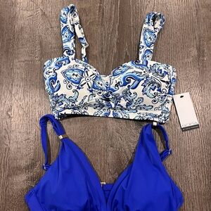 Sofia by Sofia Vergara Vibrant Blue Bikini Top